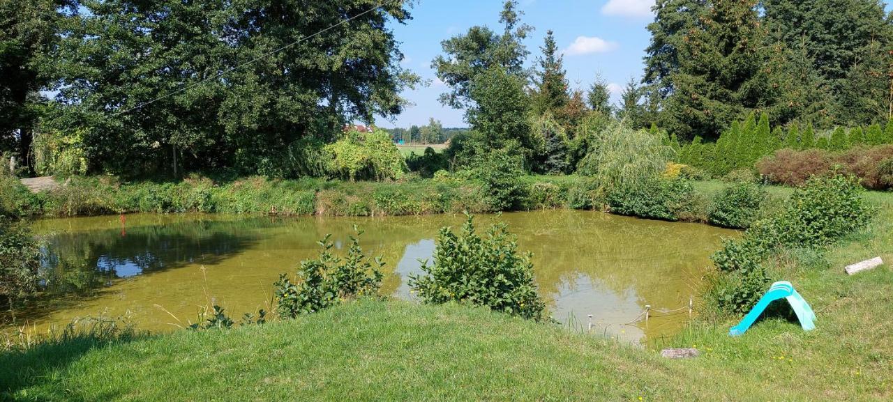 Agroturystyka Zielony Zakatek Villa Grudna Esterno foto